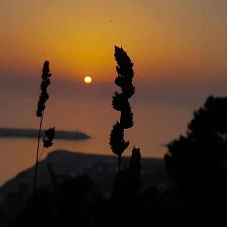 Your Nest In - Ocean View Ναζαρέ